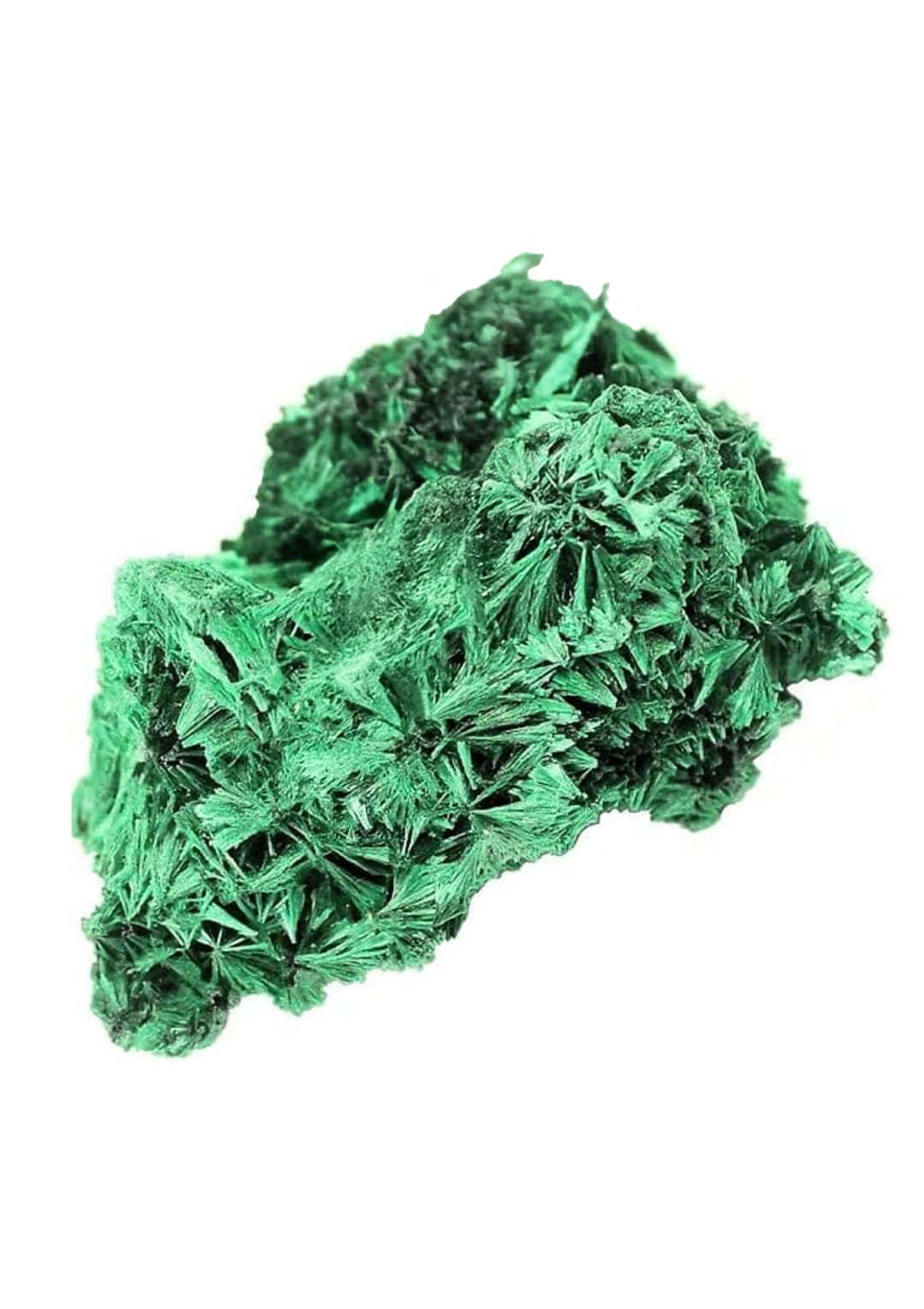 Malachite Fibrosa