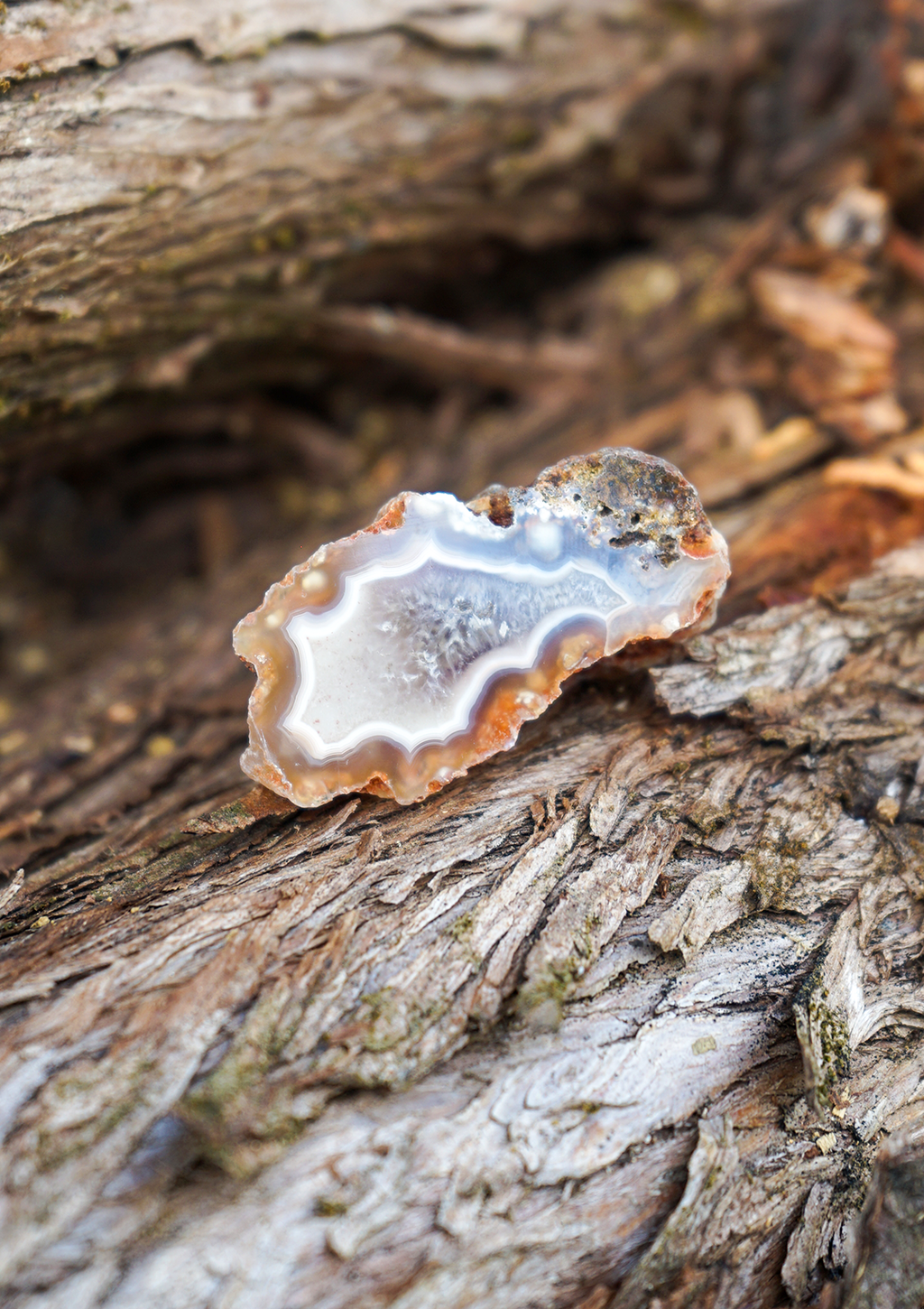 Nodulo Corniola Naturale