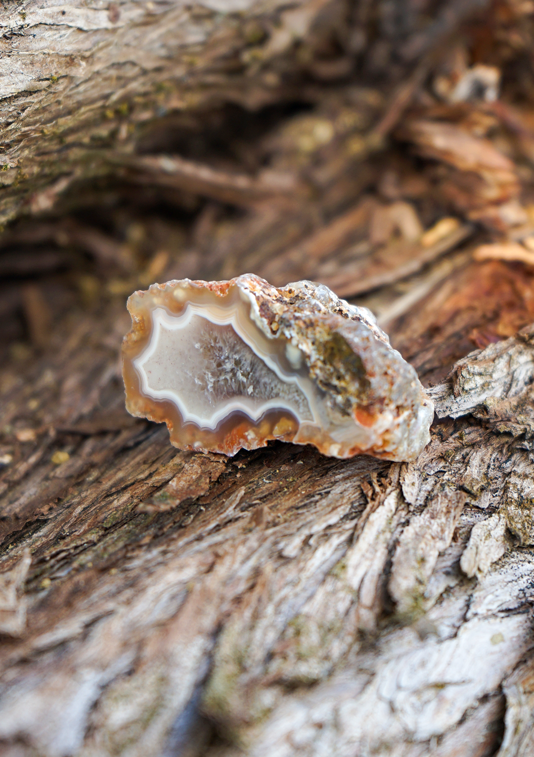 Nodulo Corniola Naturale
