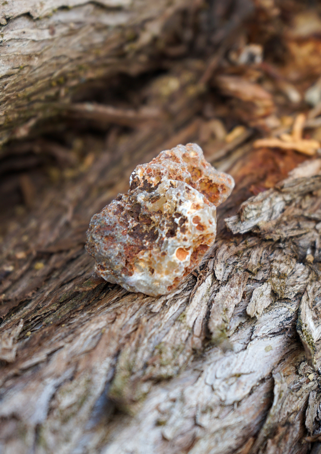 Nodulo Corniola Naturale