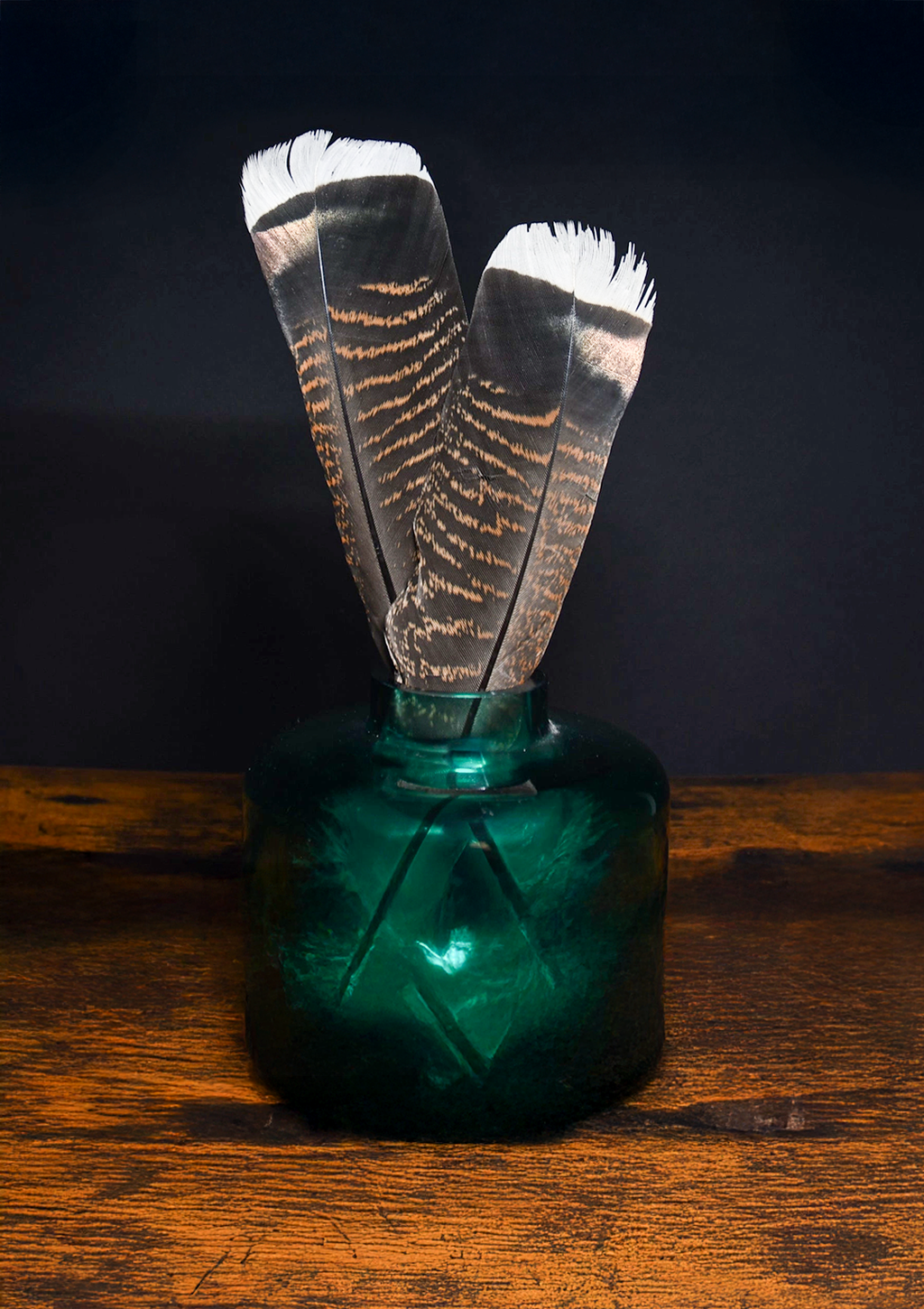 Piuma Sciamanica Tacchino