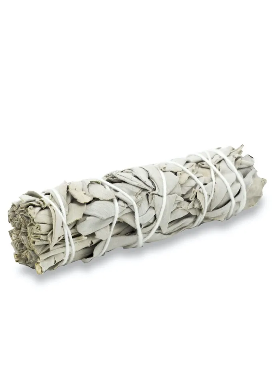 Salvia Bianca della California