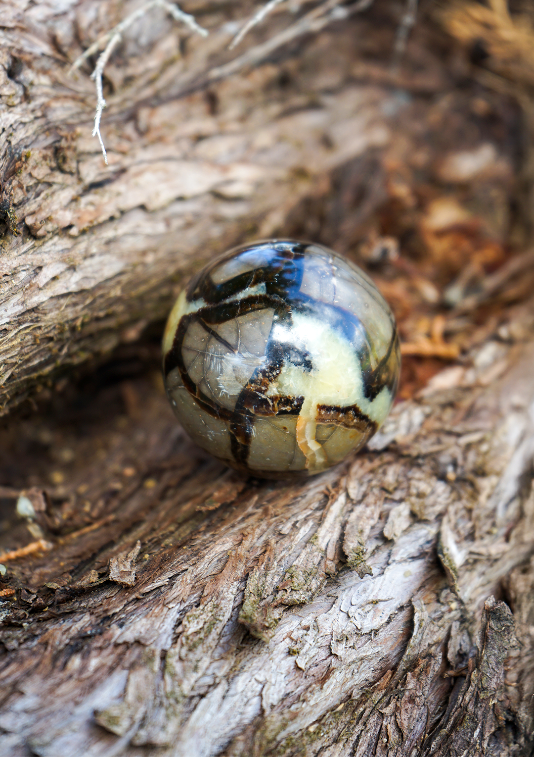 Sfera di Pietra Septaria