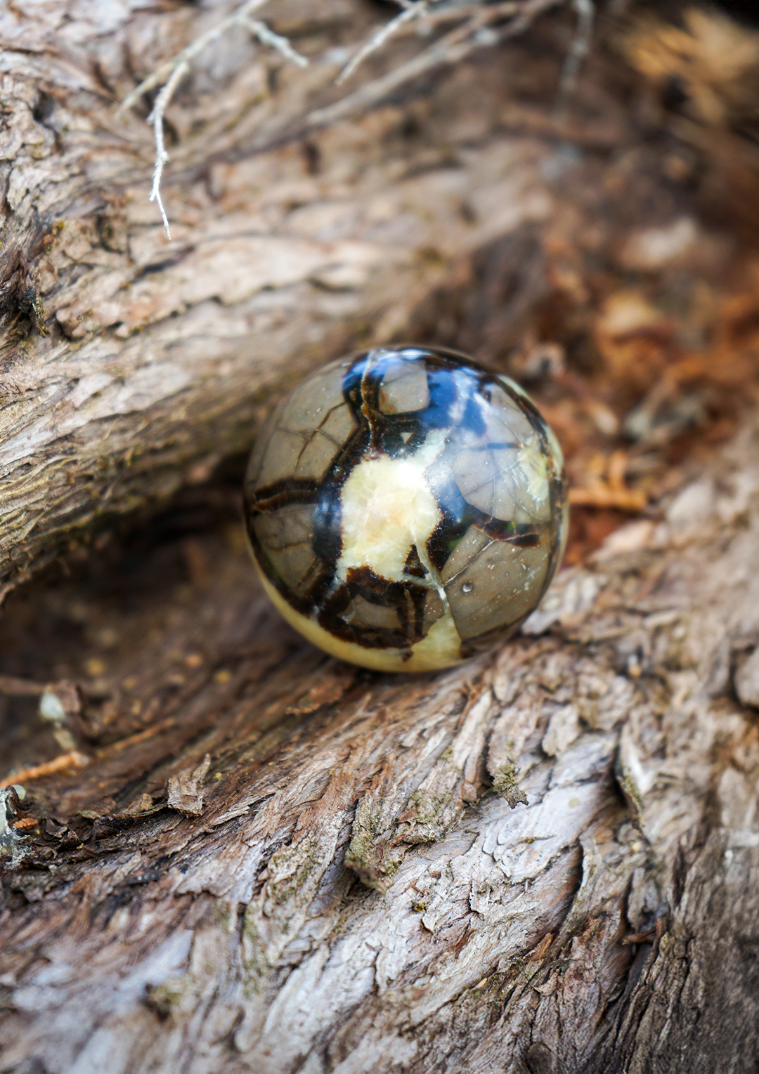 Sfera di Pietra Septaria
