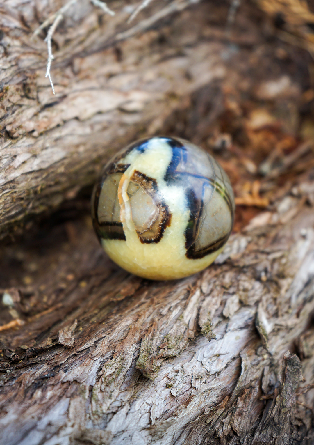 Sfera di Pietra Septaria