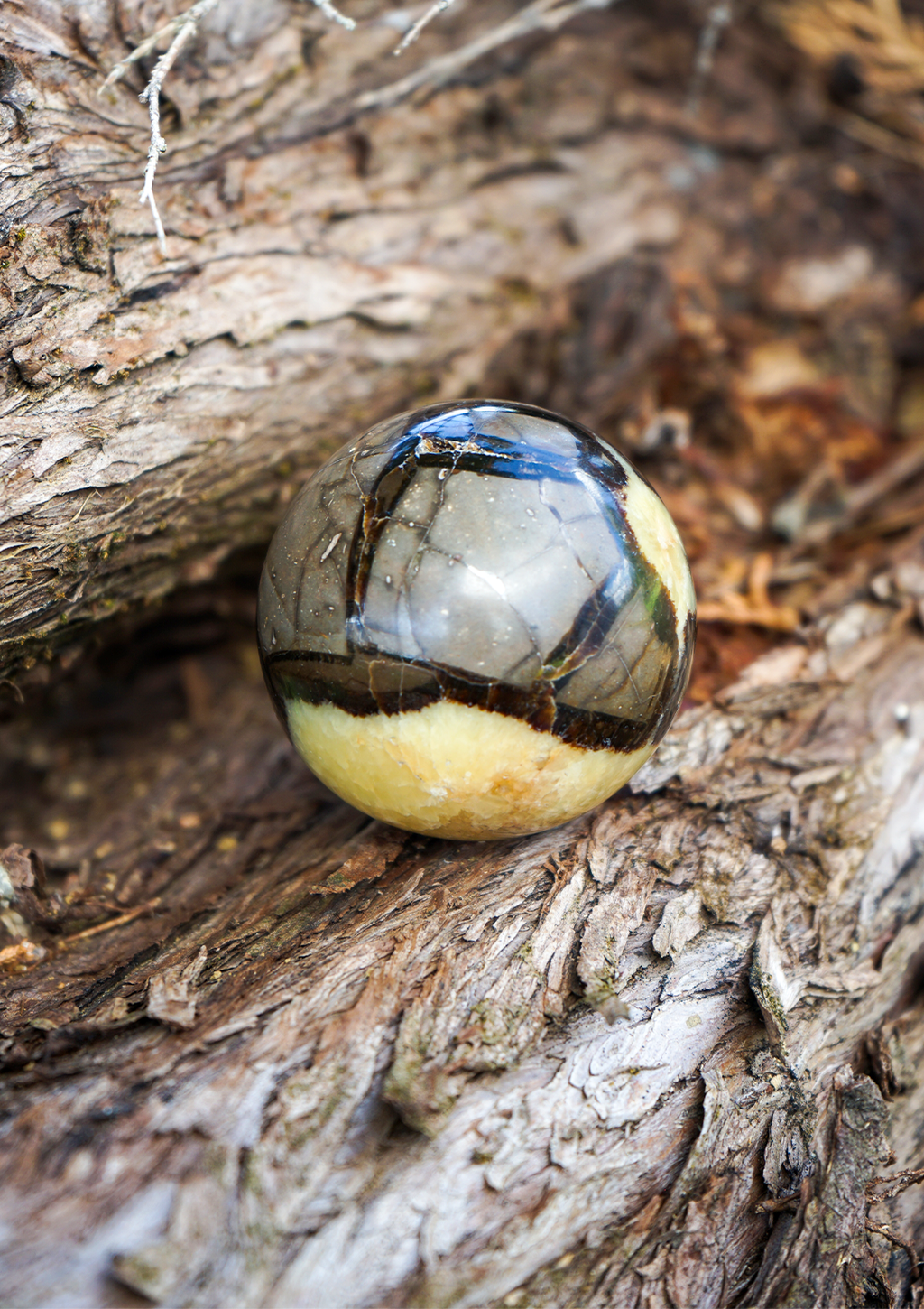 Sfera di Pietra Septaria
