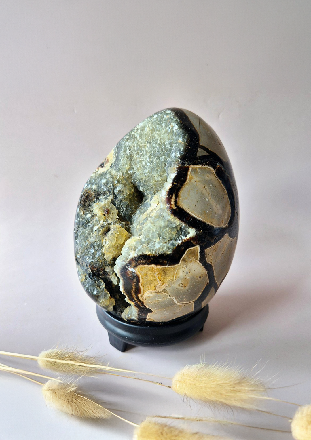 Uovo di pietra Septaria 1,8Kg