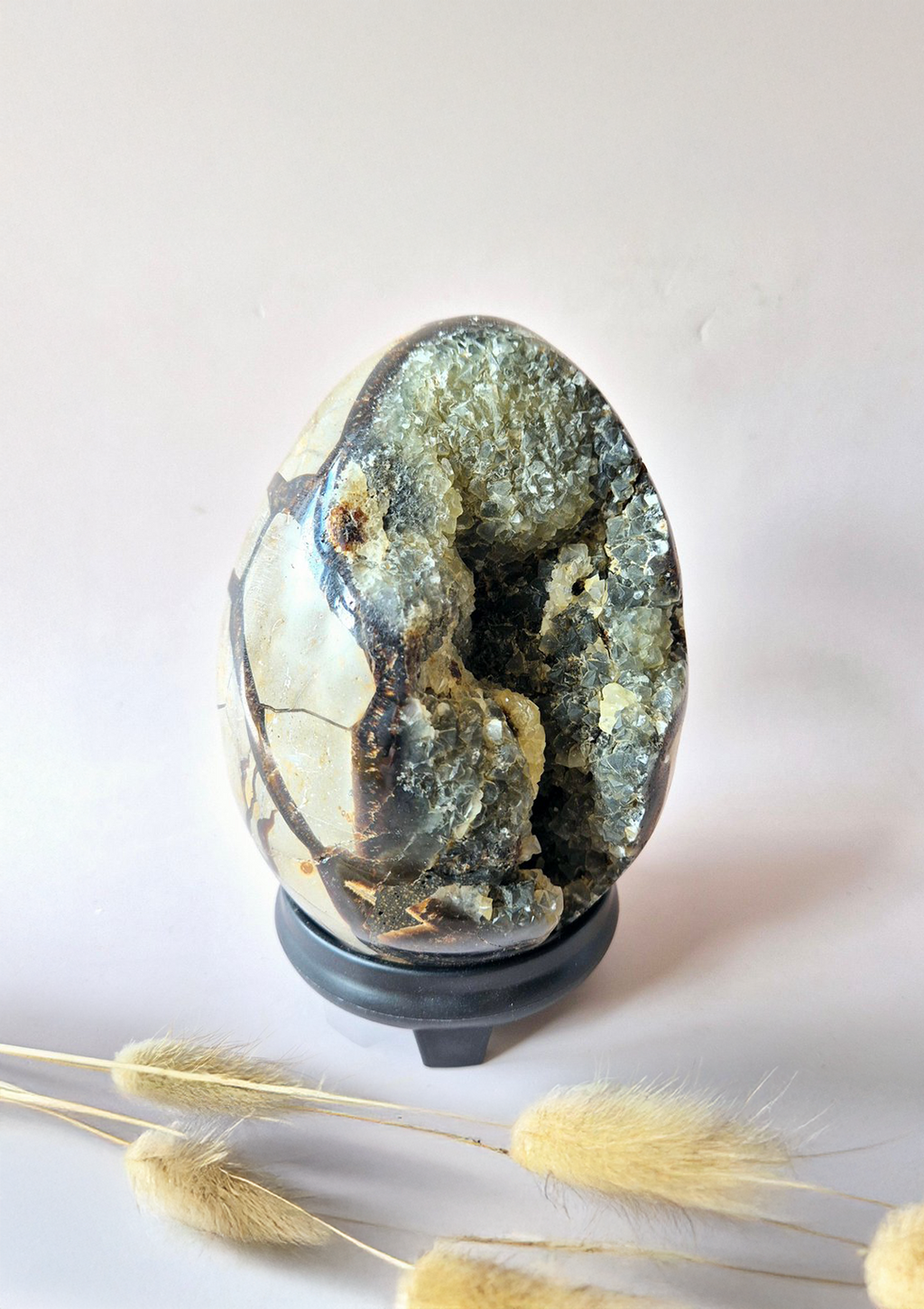 Uovo di pietra Septaria 1,8Kg