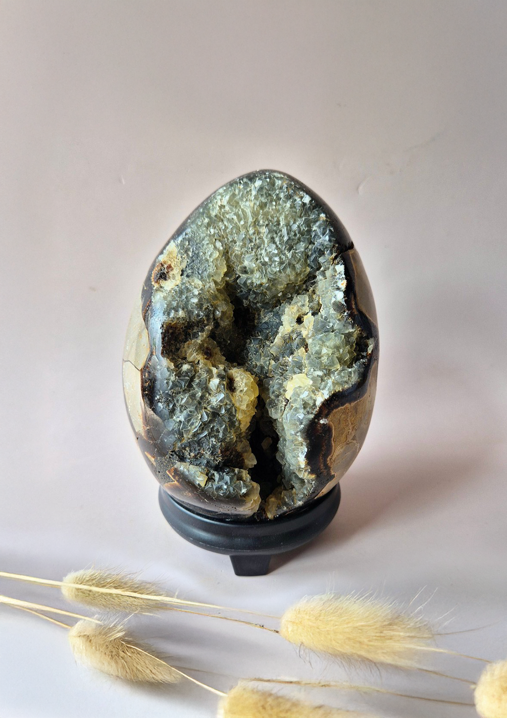 Uovo di pietra Septaria 1,8Kg