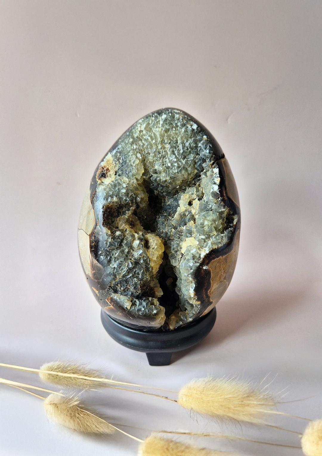 Uovo di pietra Septaria 1,8Kg